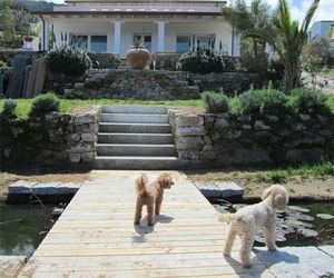 Ferienhaus auf Elba mit Hund mieten