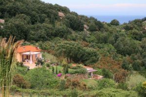 Ferienwohnungen auf Elba